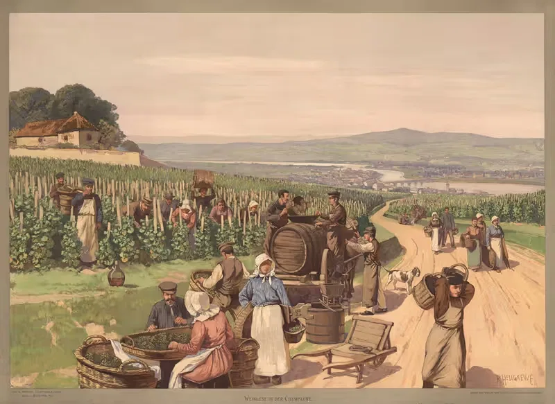 Europa – Weinlese in der Champagne — Rudolf Hellgrewe