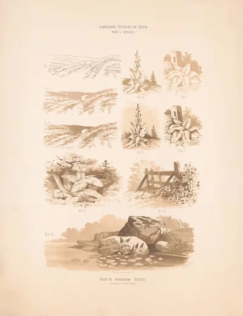 Landscape studies in sepia. Foreground details — H. Hitchings
