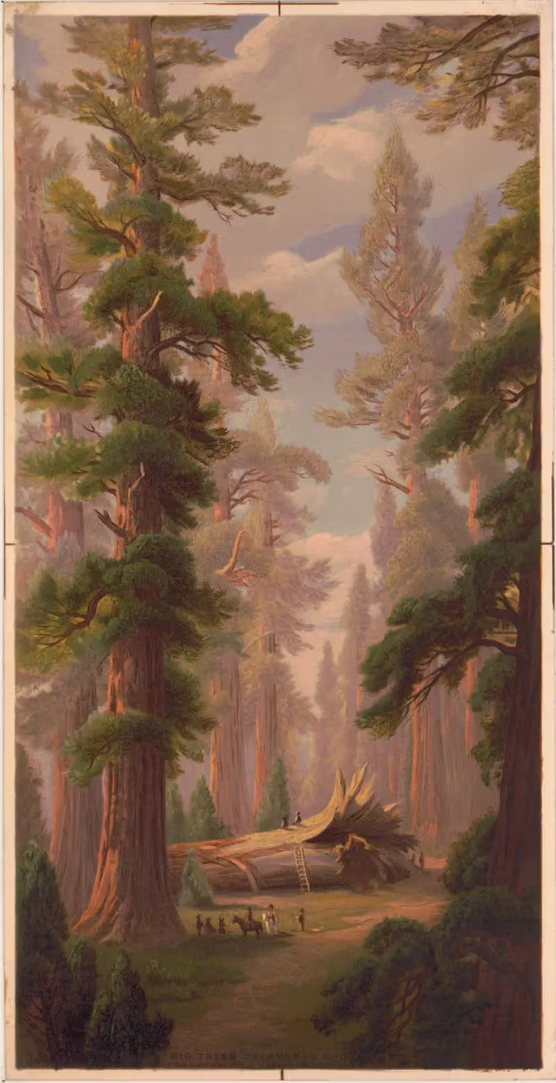 Большие деревья, Гровер Калаварес by Джон Росс Ки, 1874 — digital art print download