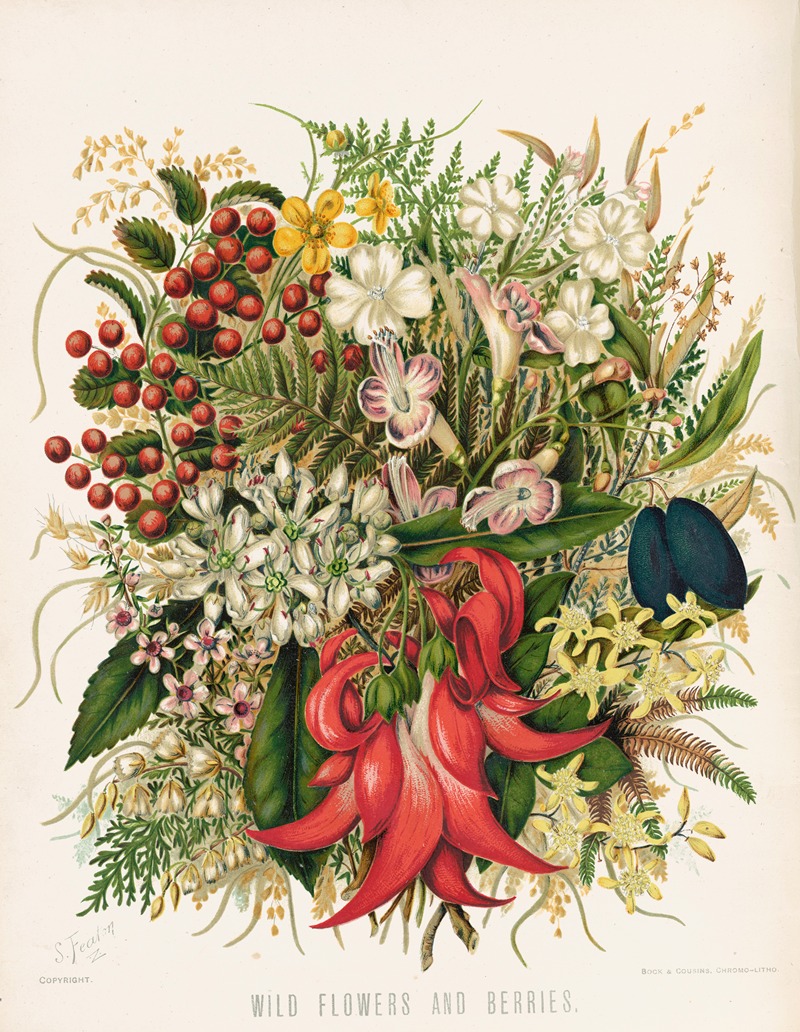 Wild Flowers and Berries. Plate 0 — Sarah Featon