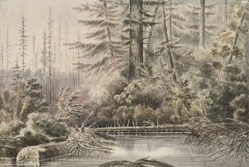 Near Bellingham Bay, Washington Territory — James Madison Alden