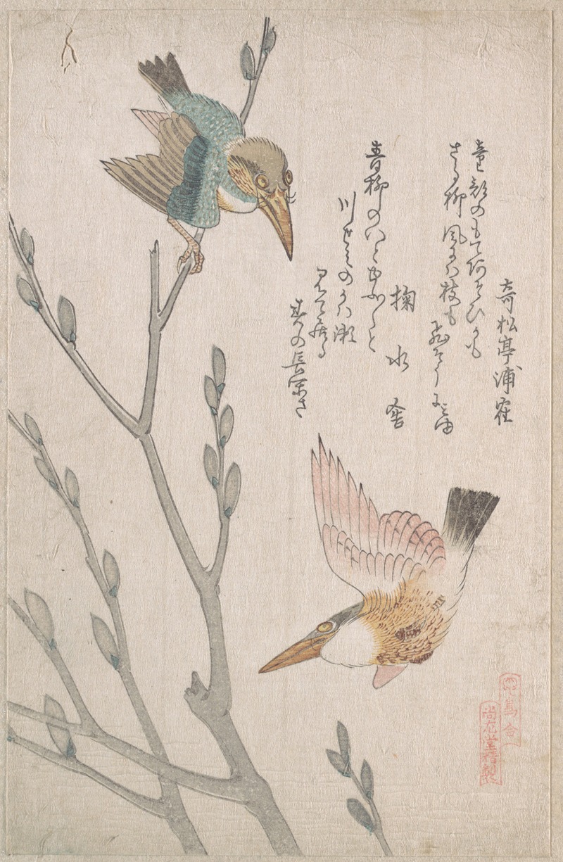 Kingfishers and Pussy-willow by Кубо Сюнман — digital art print download