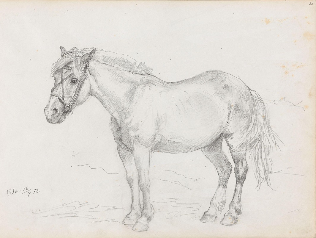 Hest, Velo by Адольф Тидеманд, 1872 — digital art print download