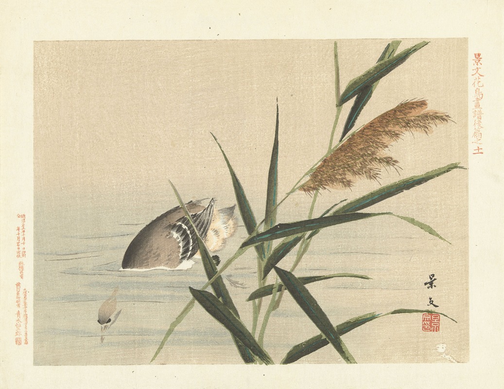 Common reed and little grebe by Matsumura Keibun, 1892 — digital art print download