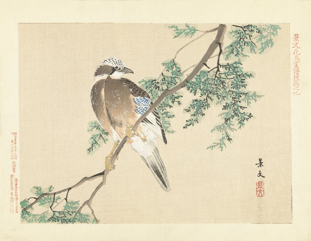 Eurasian jay by Matsumura Keibun, 1892 — digital art print download