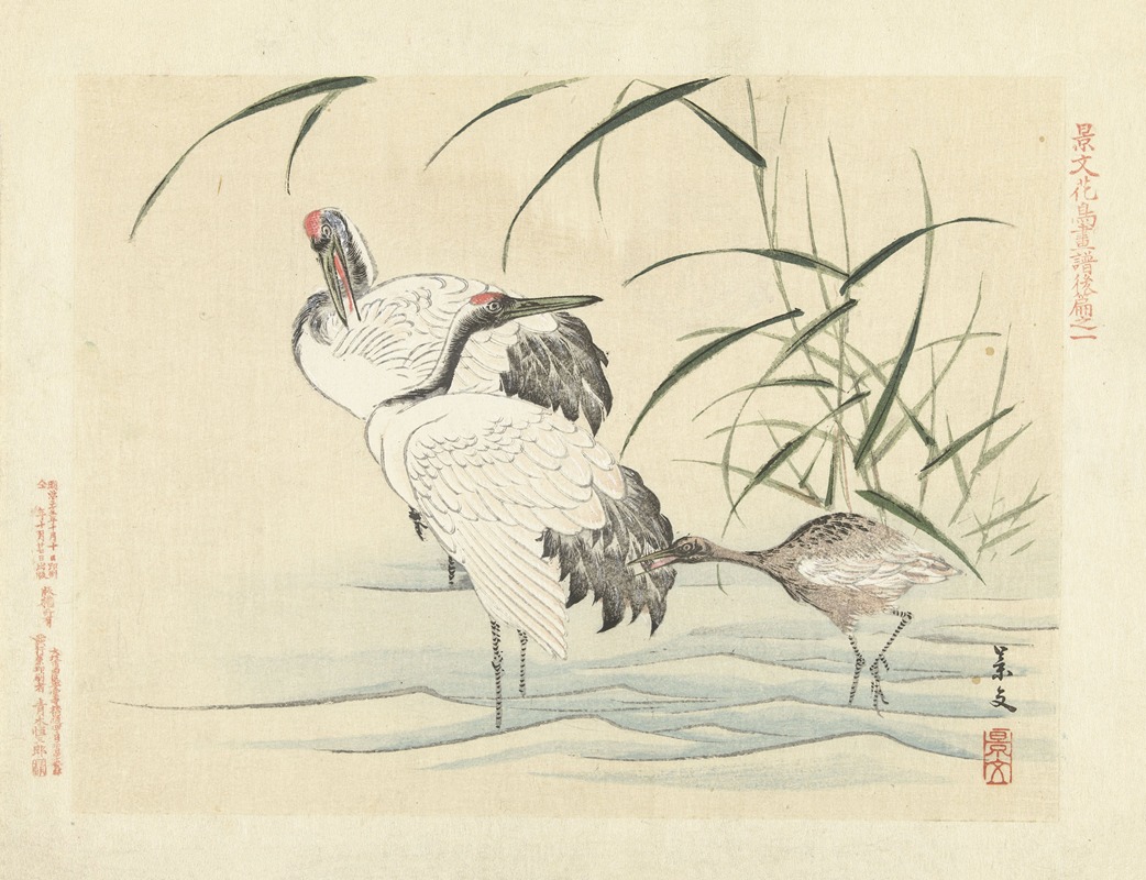 Red-crowned crane by Matsumura Keibun, 1892 — digital art print download