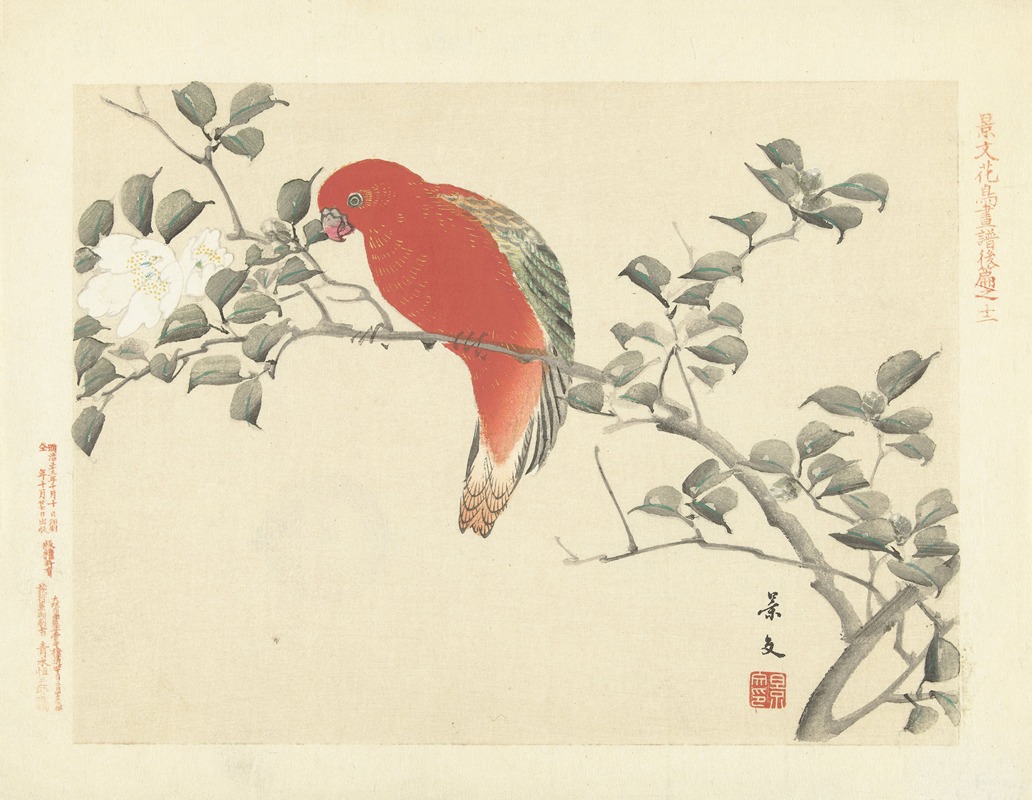 Sasanqua camellia and chattering lory parrot by Matsumura Keibun, 1892 — digital art print download