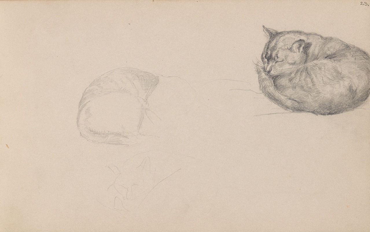 Studies of a sleeping cat by Адольф Тидеманд — digital art print download