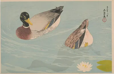 A pair of ducks by Хасигути Гоё, 1920 — digital art print download
