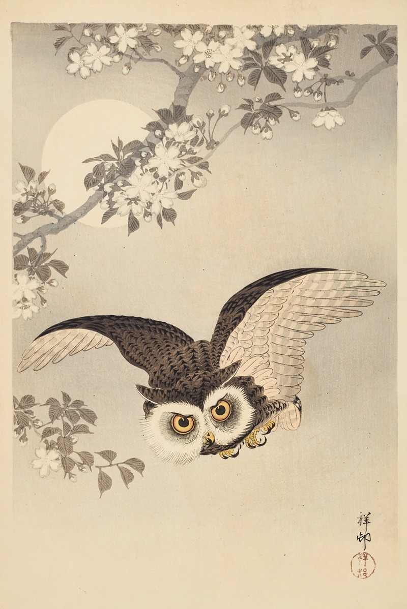 Scops Owl, Cherry Blossoms, and Moon by Охара Косон — digital art print download