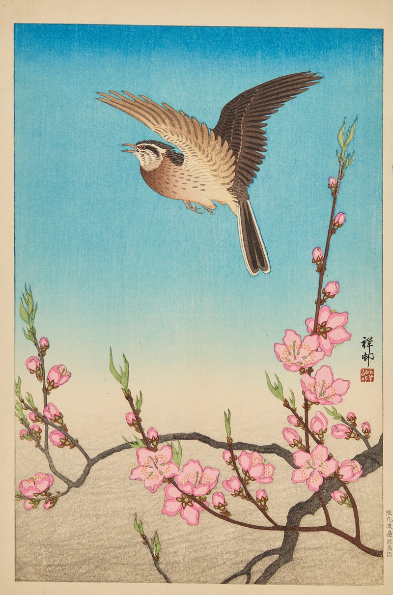 Skylark in flight above blossoming peach — Охара Косон