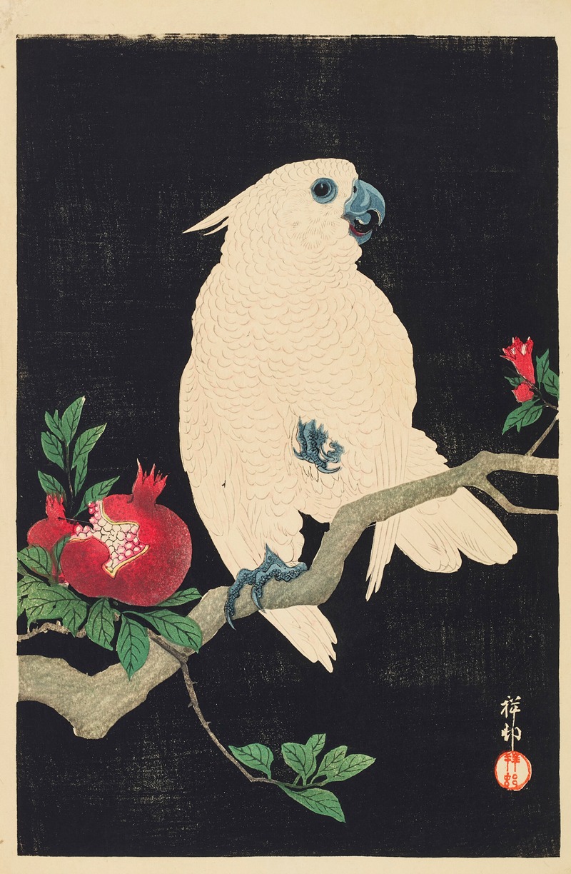 Cockatoo and pomegranate by Охара Косон — digital art print download