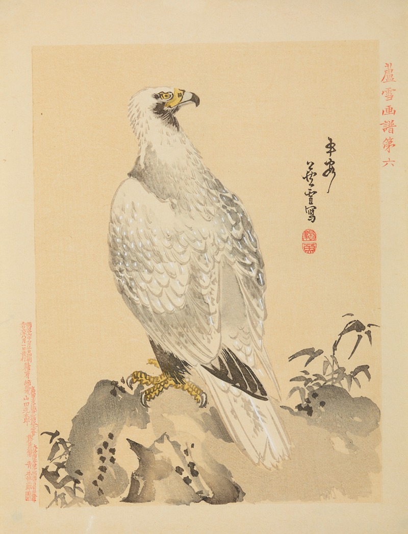 Falcon on a rock by Rosetsu, 1893 — digital art print download