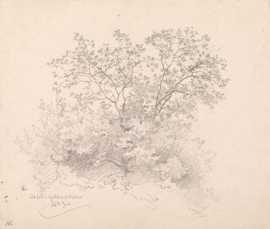 Løvtrær, Elstad i Gudbrandsdalen by Ханс Гуде, 1846 — digital art print download