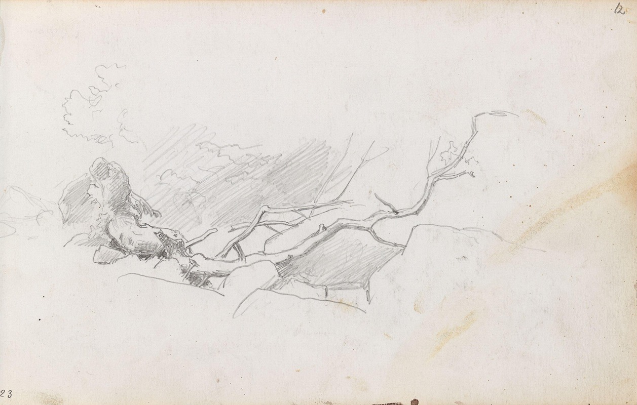 Nakent nedblåst tre by Hans Gude, 1864-1871 — digital art print download