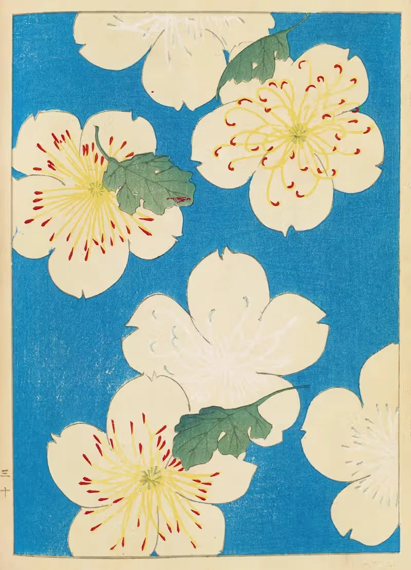 Син-Бидзюцукей by Фуруя Кодзин, 1901-1902 — digital art print download