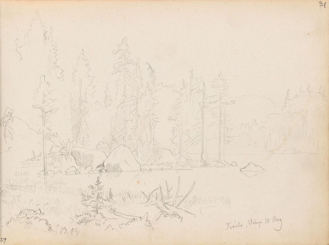 Vann ved Tveito i Vinje — Hans Gude