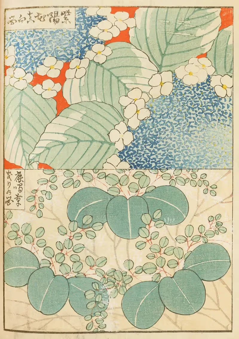 Син-Бидзюцкай Пл.156 by Фуруя Кодзин, 1901-1902 — digital art print download