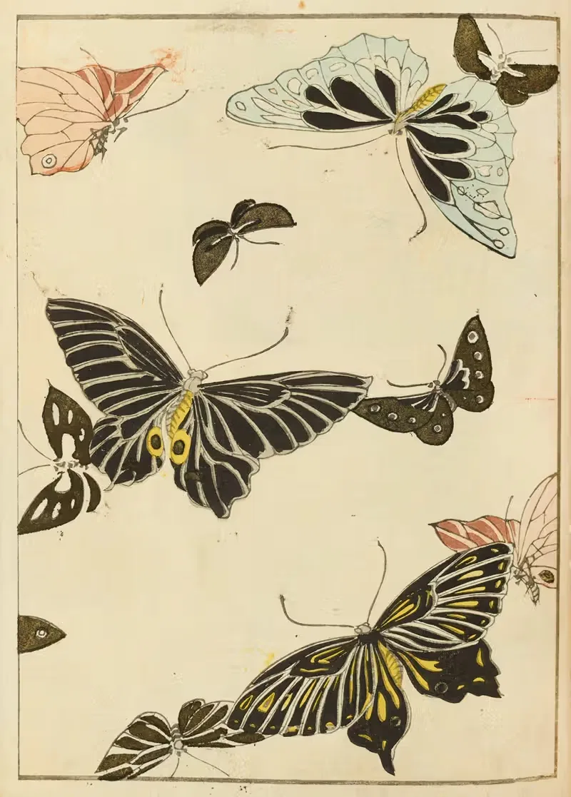 Шин-Бидзюцукаи, табл. 157 by Фуруя Кодзин, 1901-1902 — digital art print download