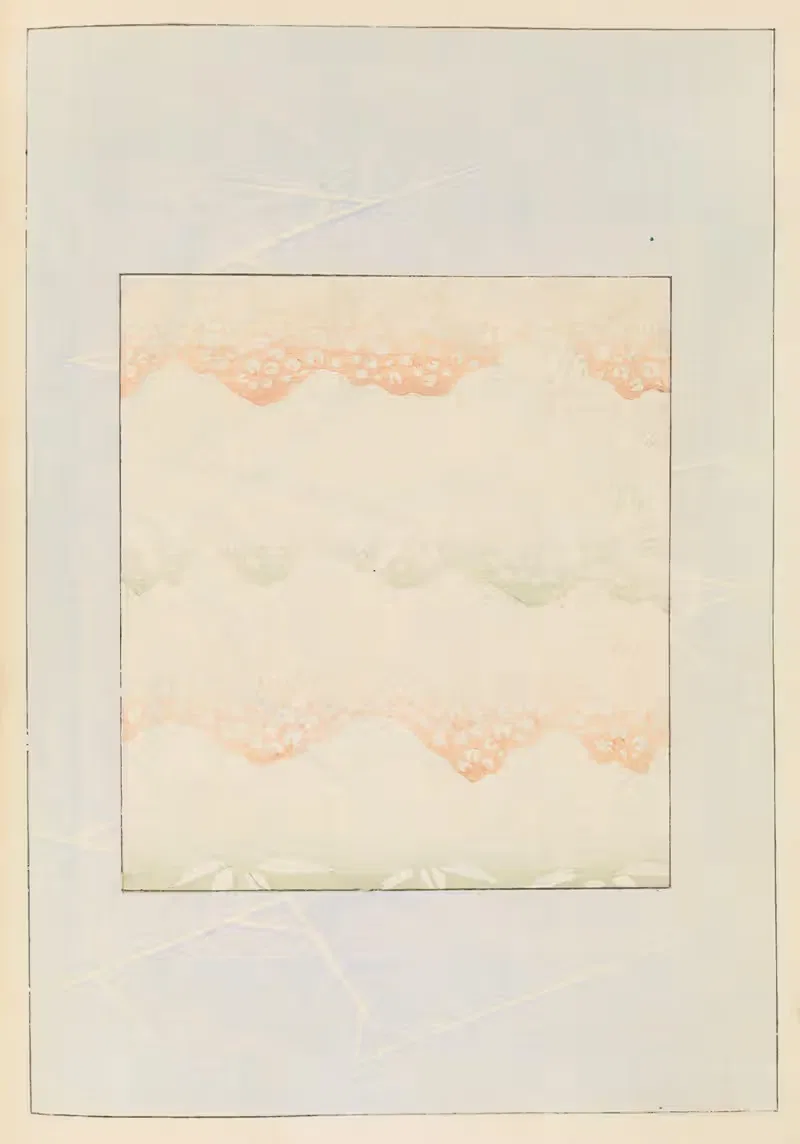 Shin-Bijutsukai Pl.324 by Furuya Kōrin, 1901-1902 — digital art print download