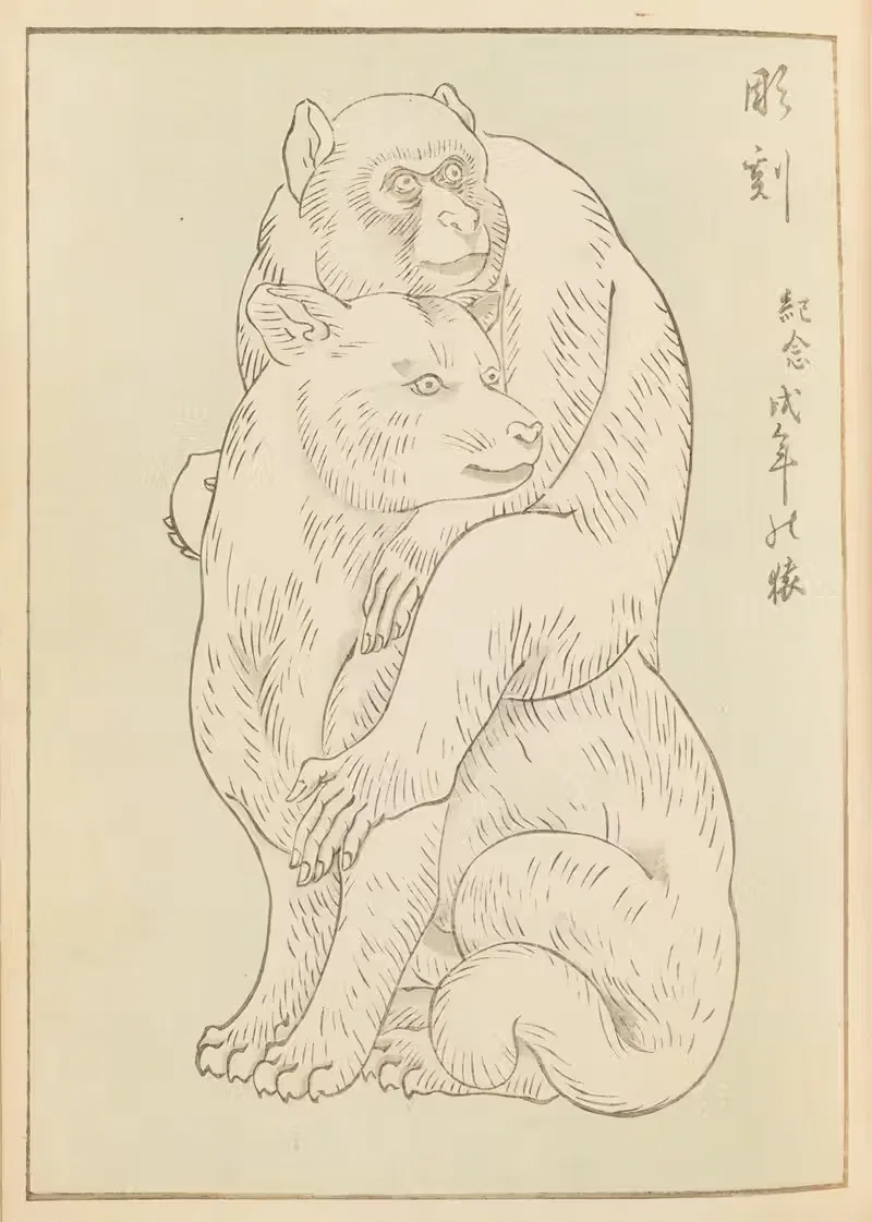 Шин-Бидзюцукэй Пл.345 by Фуруя Кодзин, 1901-1902 — digital art print download