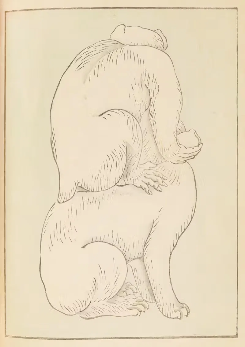 Син-Бидзюцукэй Pl.346 by Фуруя Кодзин, 1901-1902 — digital art print download
