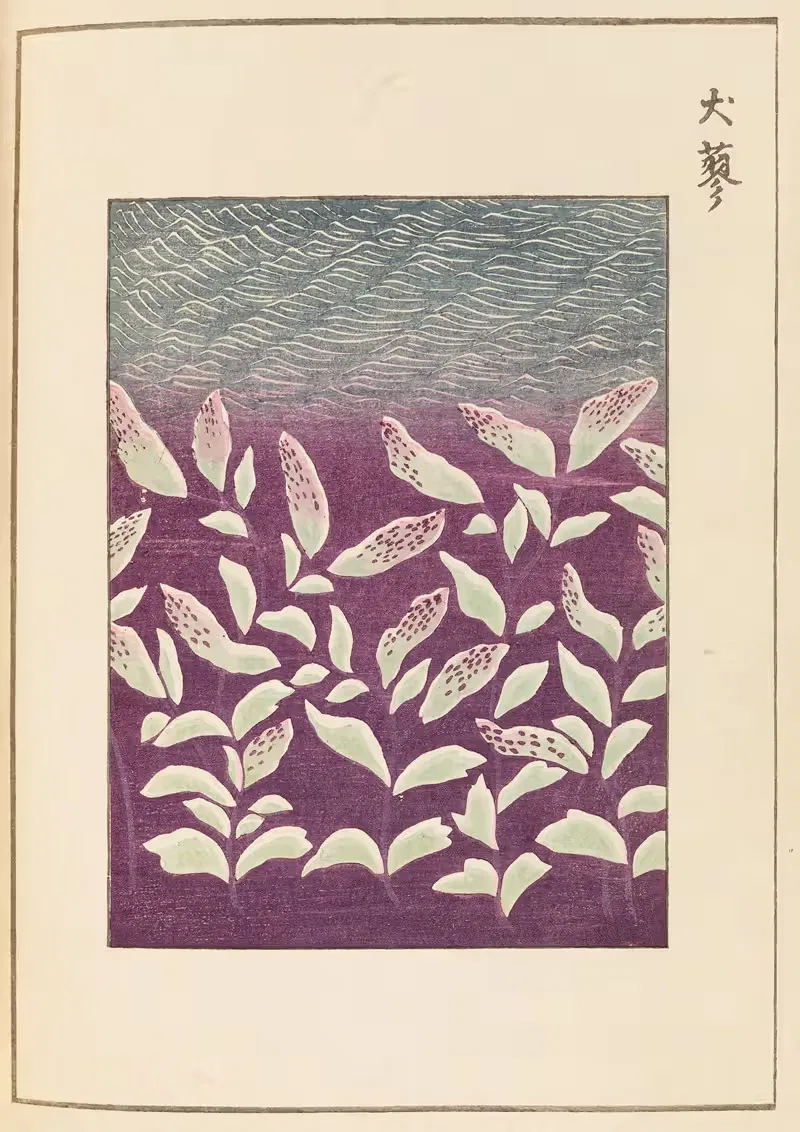 Шин-Бидзюцукей Пл.360 by Фуруя Кодзин, 1901-1902 — digital art print download