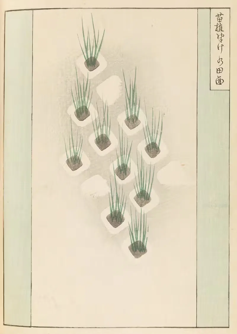 Шин-Бидзюцкай, Пл.370 by Фуруя Кодзин, 1901-1902 — digital art print download