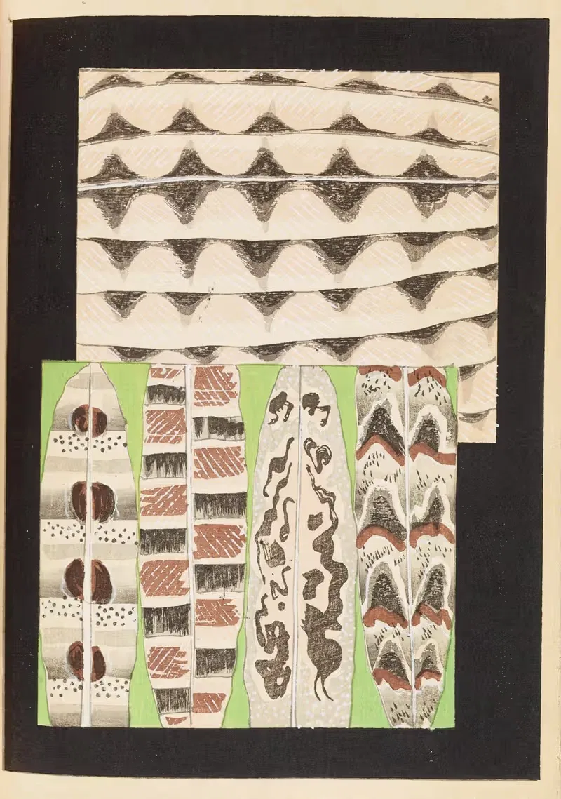 Shin-Bijutsukai Пл.398 by Фуруя Кодзин, 1901-1902 — digital art print download