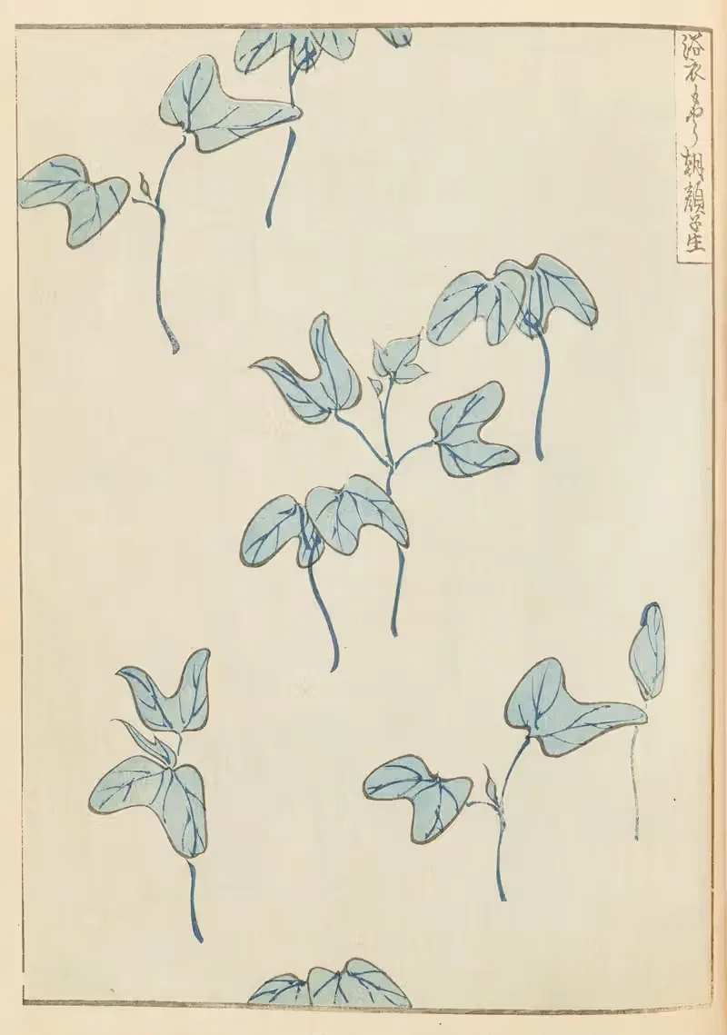 Шин-Бидзюцукаи Пл.437 by Фуруя Кодзин, 1901-1902 — digital art print download