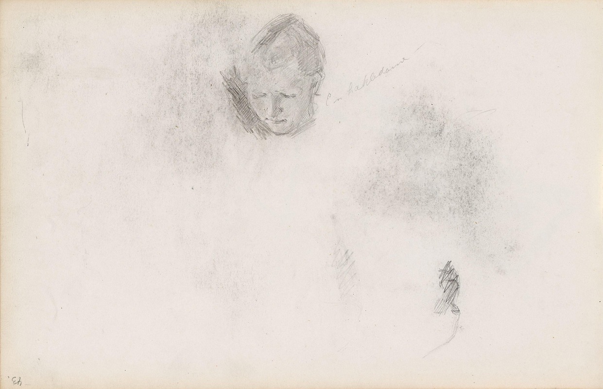 Kvinnehode; riss av ansikt by Сигне Шиел, 1892 — digital art print download