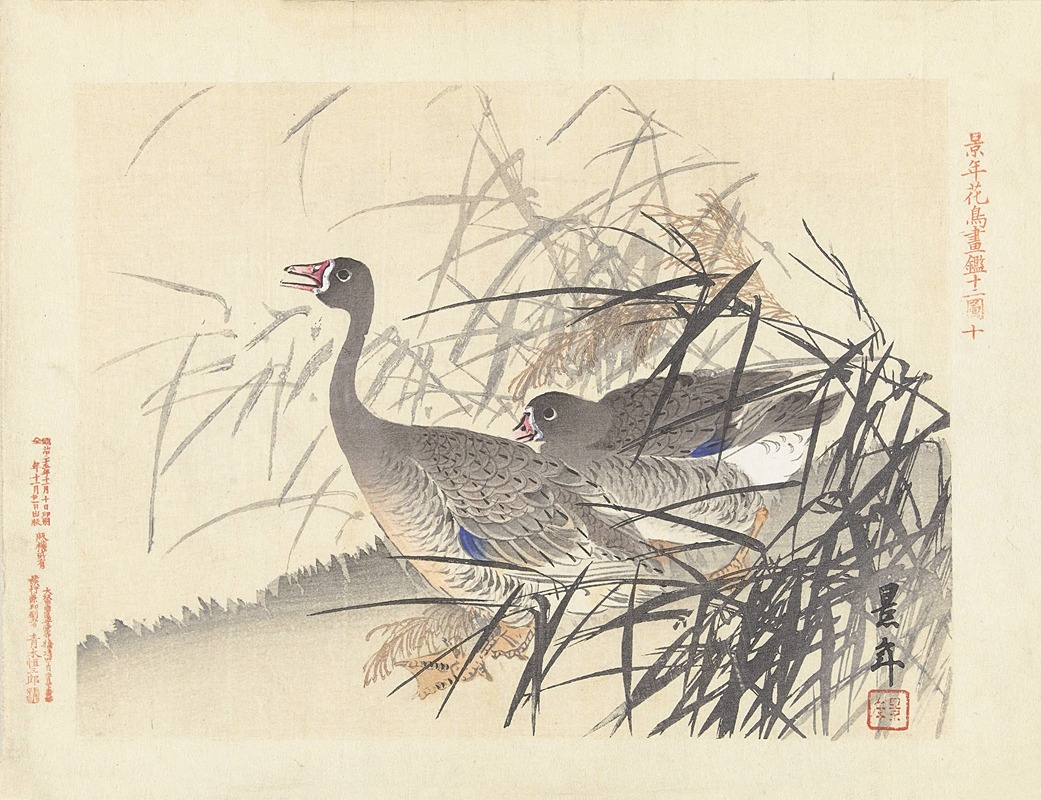 Twee ganzen tussen riet by Имао Кейнин, 1892-1911 — digital art print download