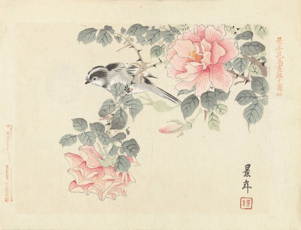 Zwart-wit vogeltje tussen roze rozen — Imao Keinen