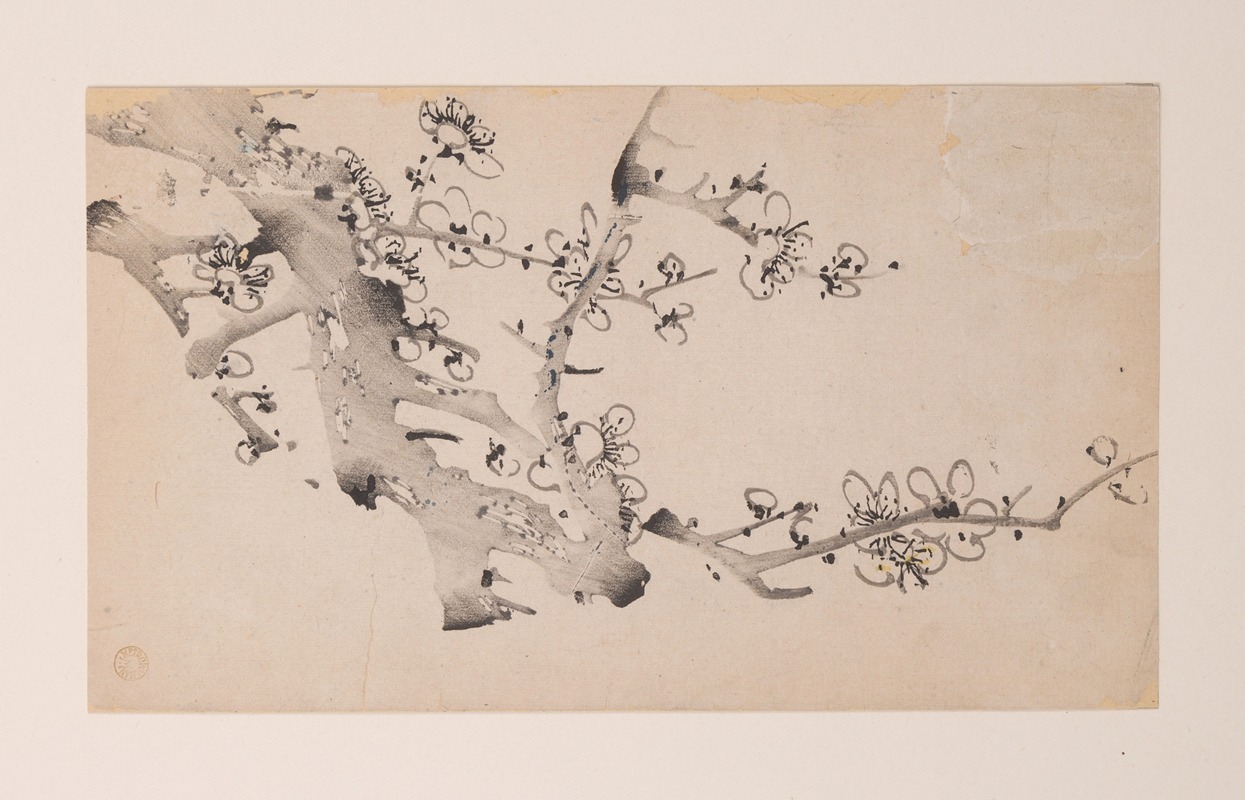 Shi Zhu Zhai Pl.10 — Anonymous