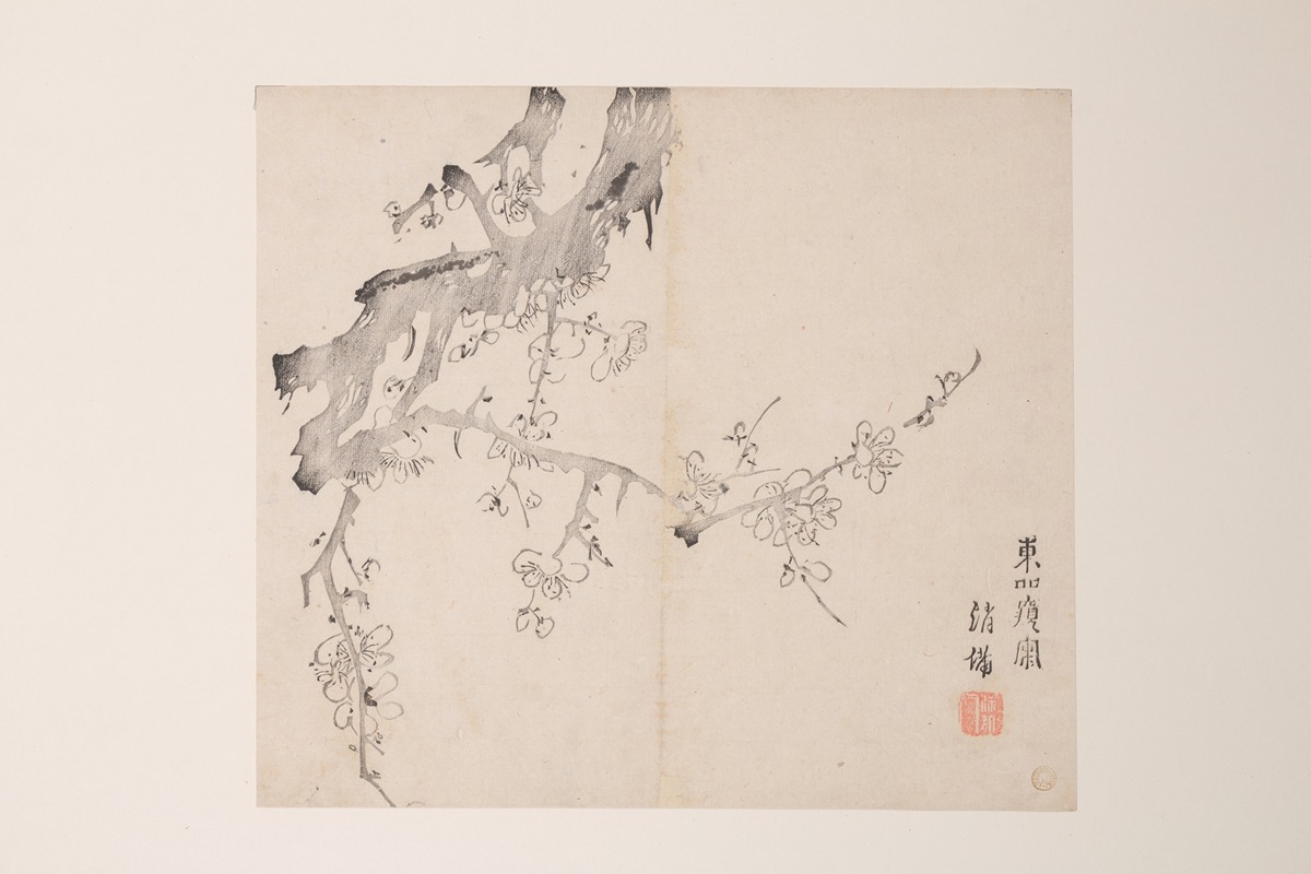 Shi Zhu Zhai Pl.11 — Anonymous
