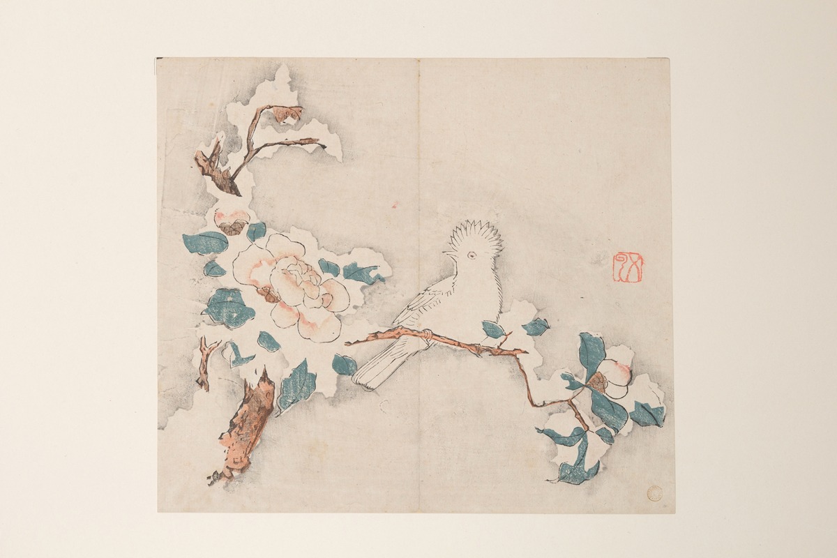 Shi Zhu Zhai Pl.30 — Anonymous