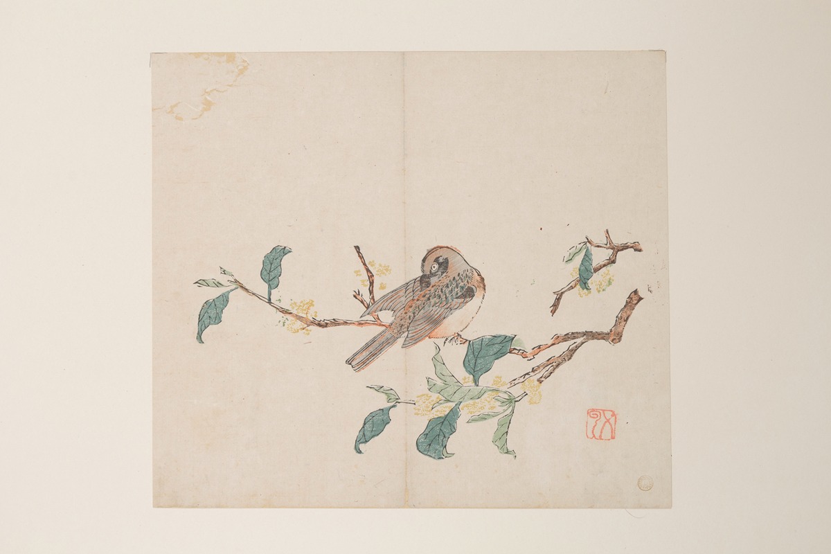 Shi Zhu Zhai Pl.35 — Anonymous