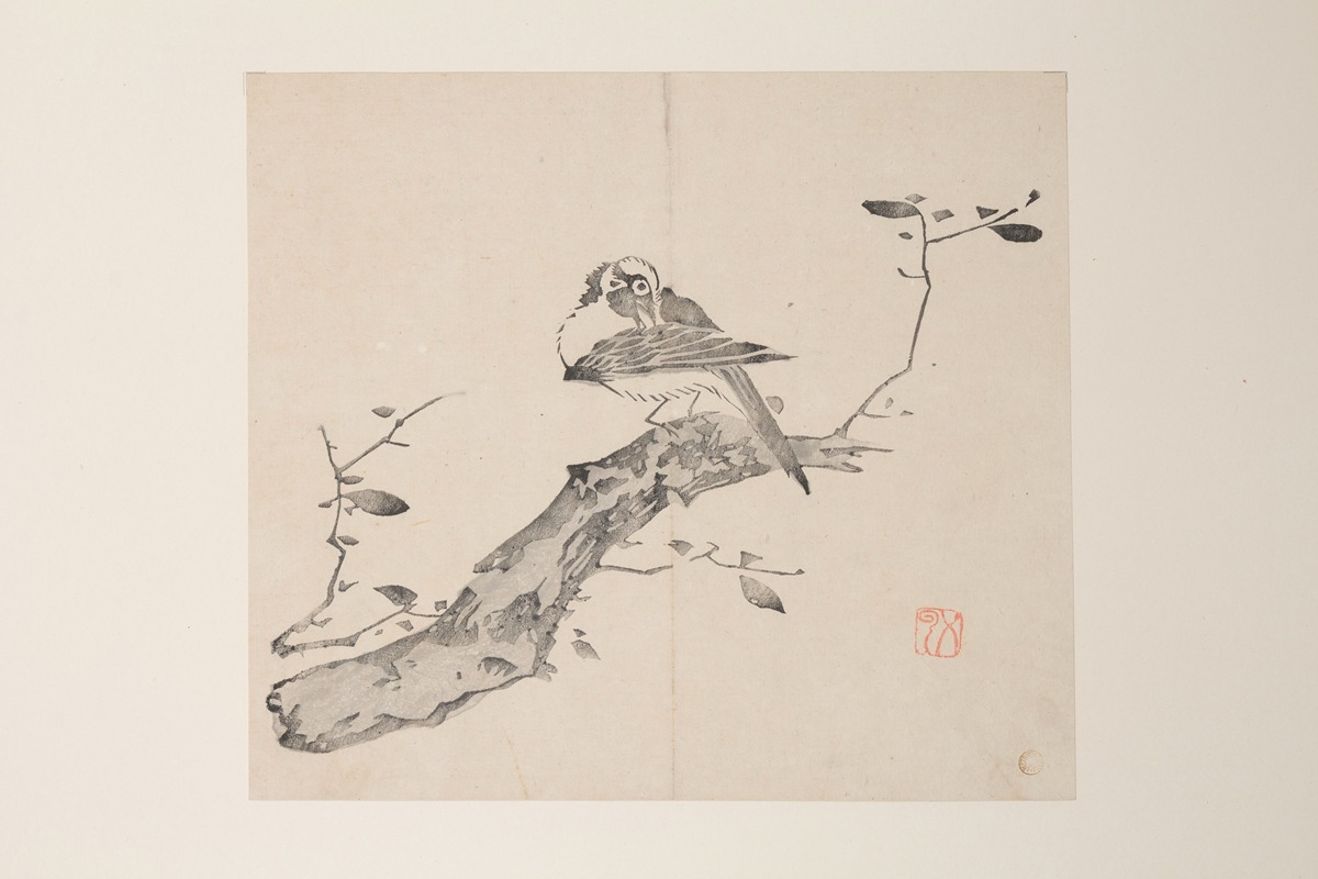 Shi Zhu Zhai Pl.37 — Anonymous