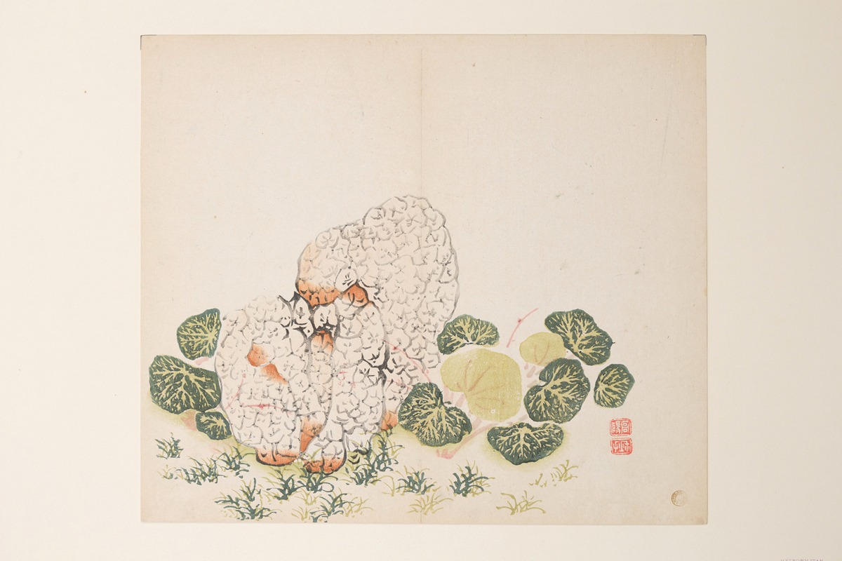 Shi Zhu Zhai Pl.39 — Anonymous