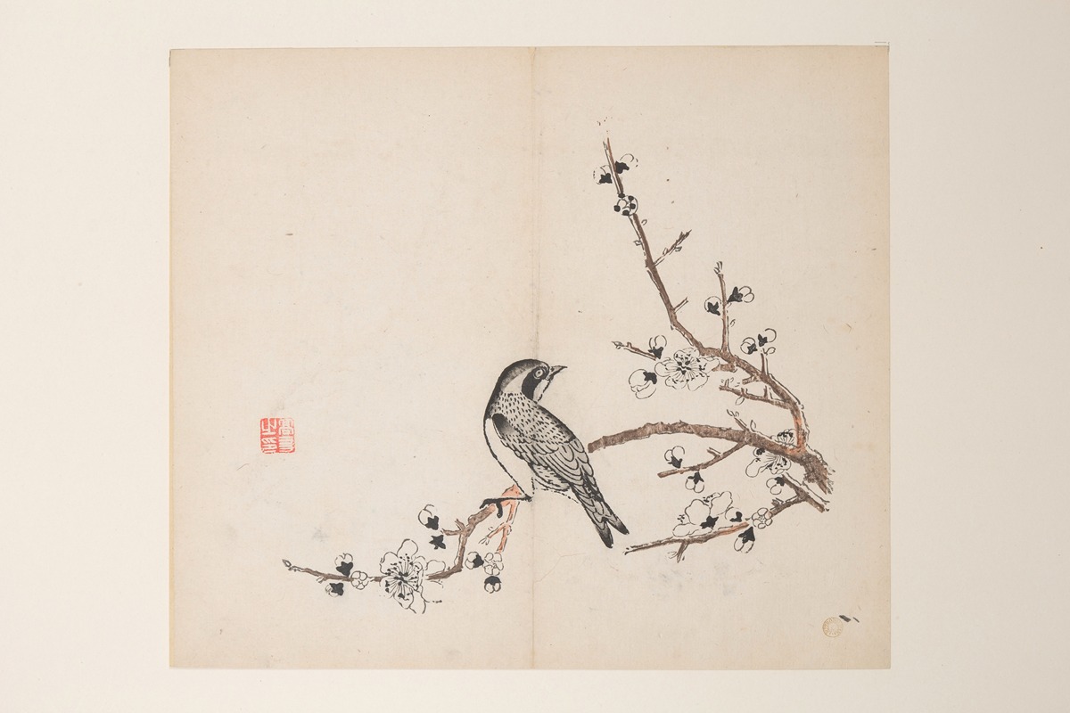 Shi Zhu Zhai Pl.41 — Anonymous