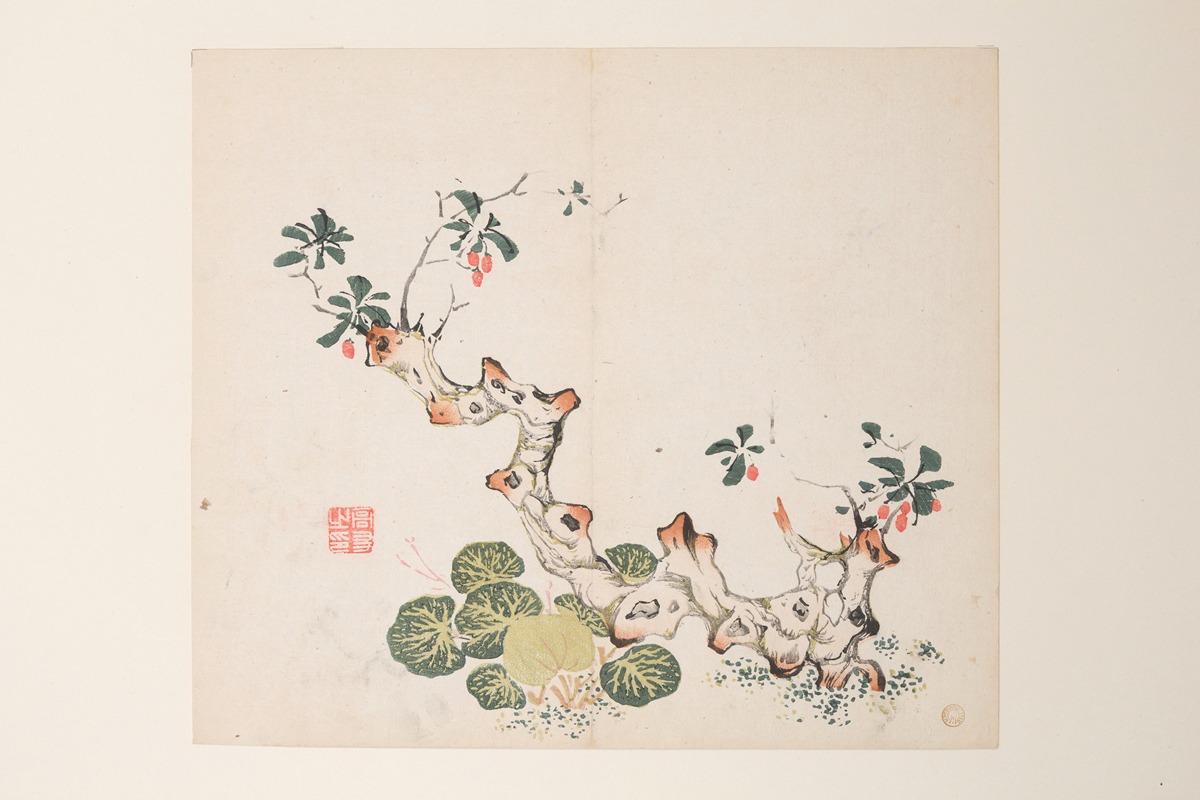 Shi Zhu Zhai Pl.43 — Anonymous