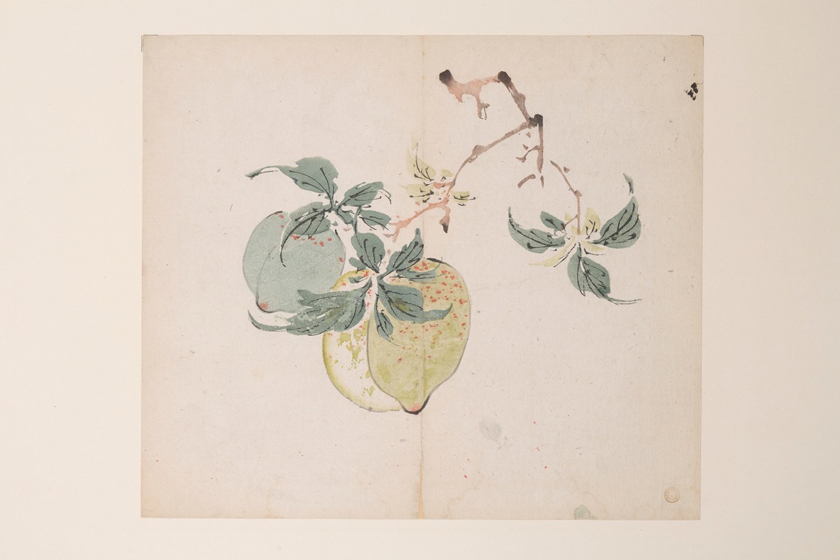 Shi Zhu Zhai Pl.46 — Anonymous