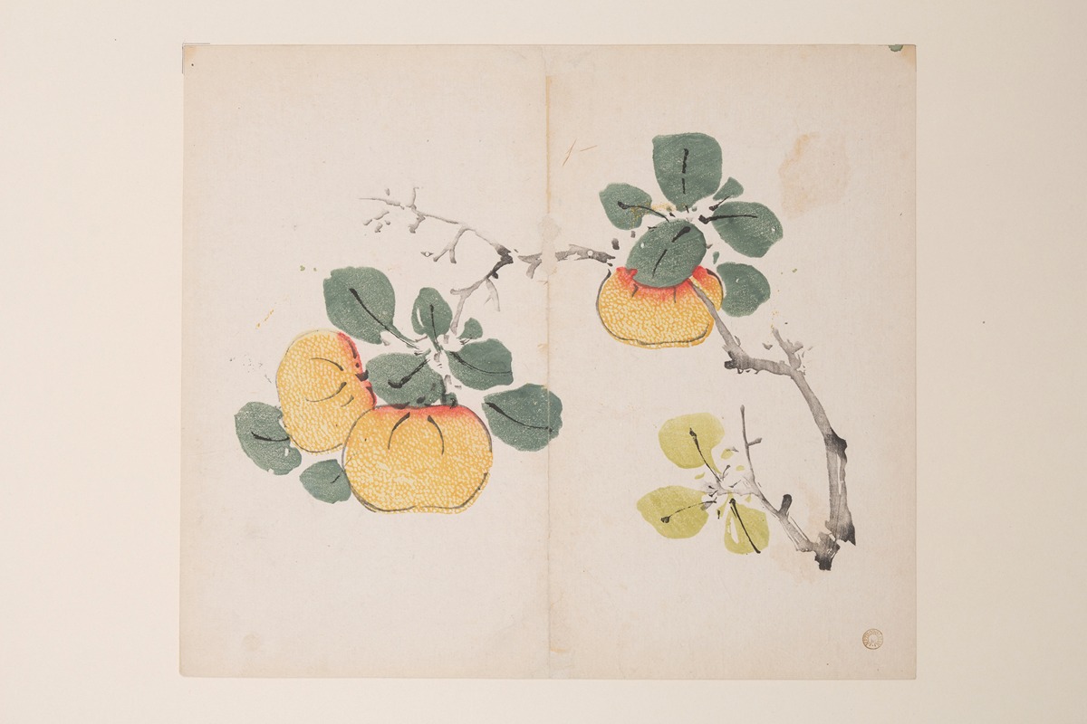 Shi Zhu Zhai Pl.50 — Anonymous