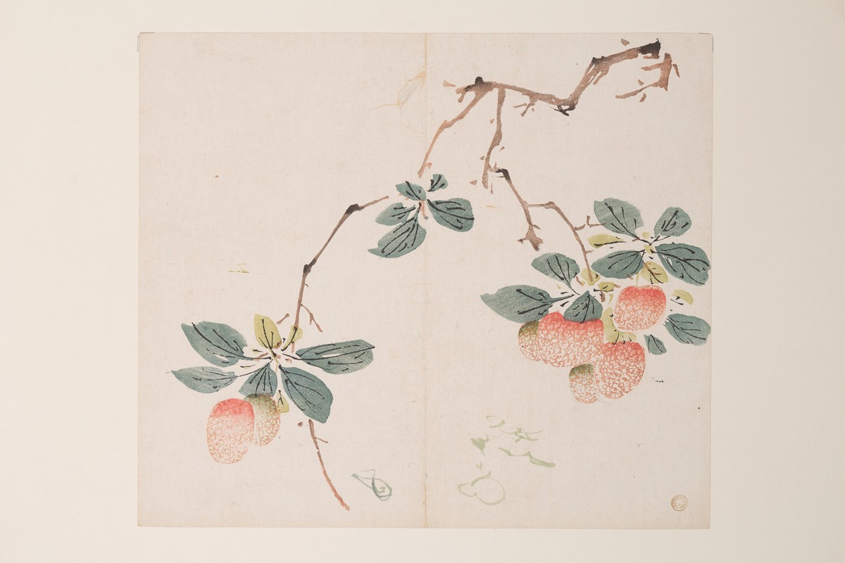 Shi Zhu Zhai Pl.55 — Anonymous