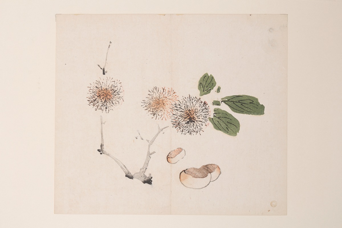 Shi Zhu Zhai Pl.56 — Anonymous