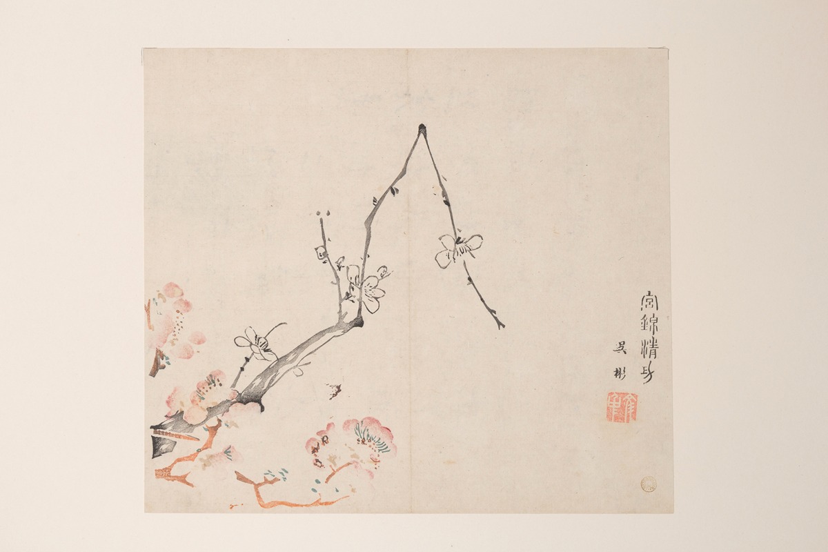 Shi Zhu Zhai Pl.71 — Anonymous