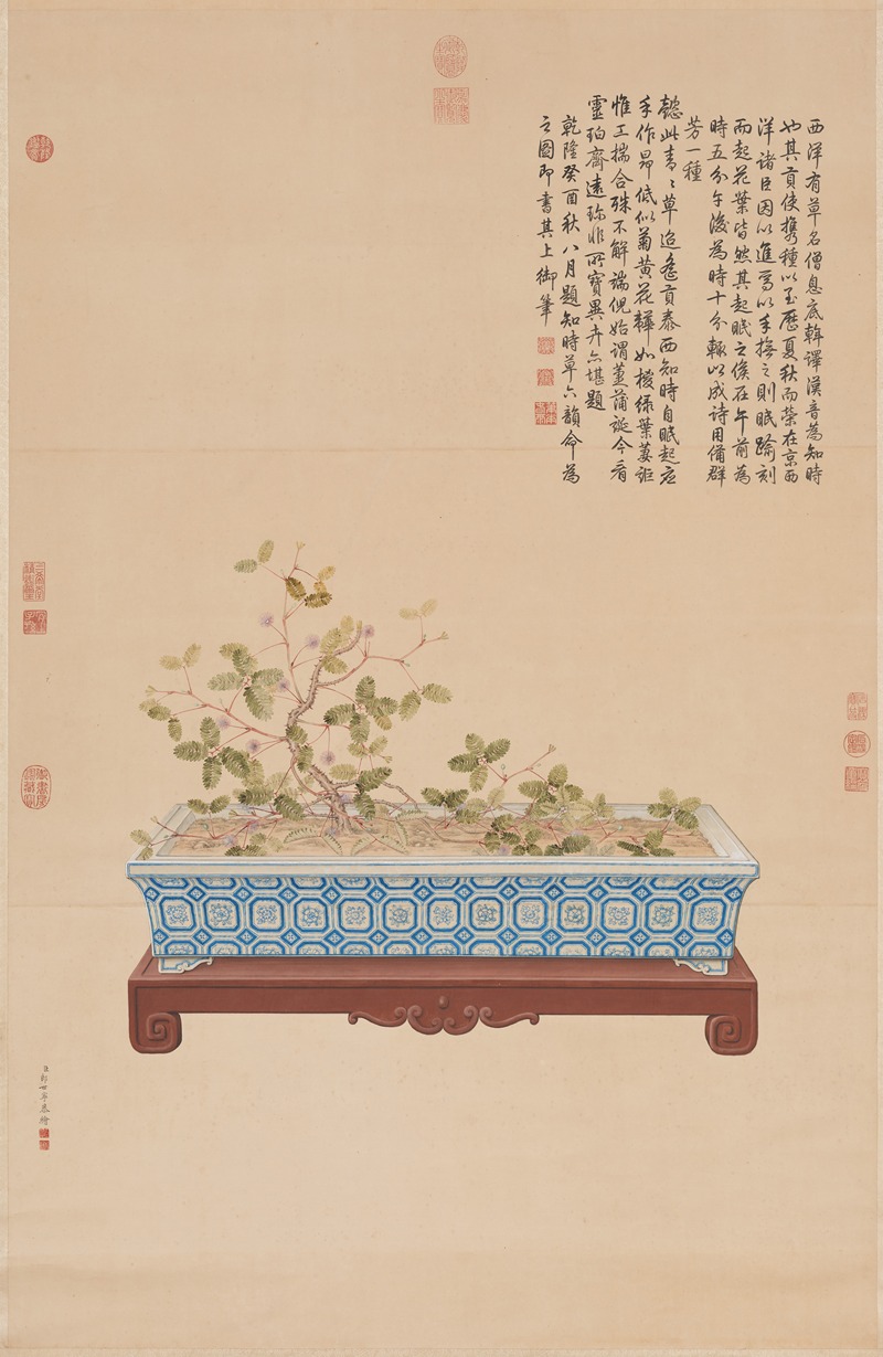 Time-Telling Plant from the West by Джузеппе Кастильоне, 1753 — digital art print download