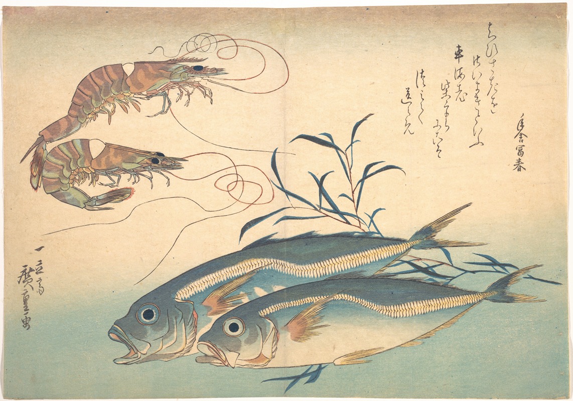 Aji Fish and Kuruma-ebi by Утагава Хиросигэ — digital art print download