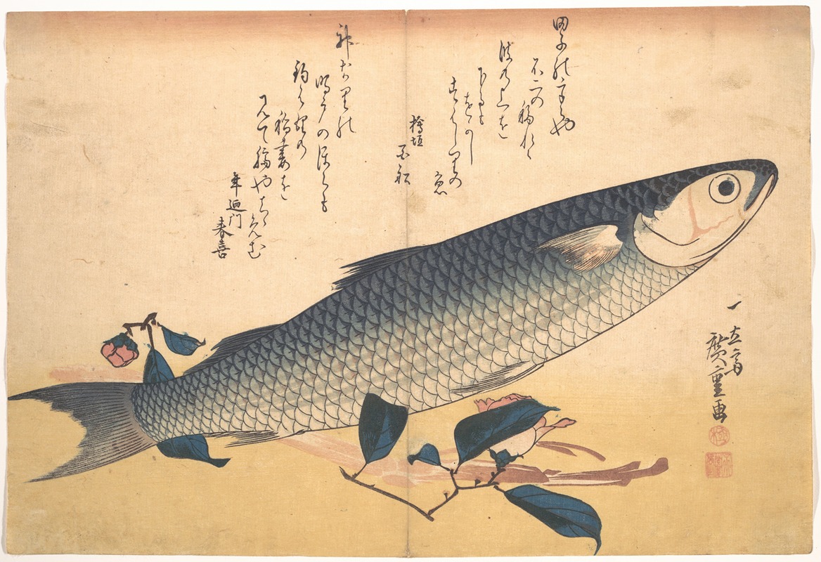 Bora Fish with Camellia by Утагава Хиросигэ — digital art print download