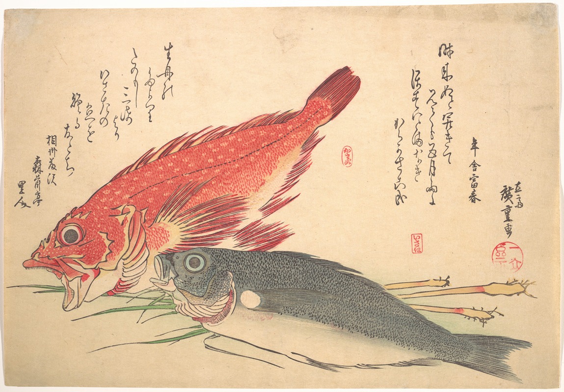 Isaki and Kasago Fish by Утагава Хиросигэ — digital art print download